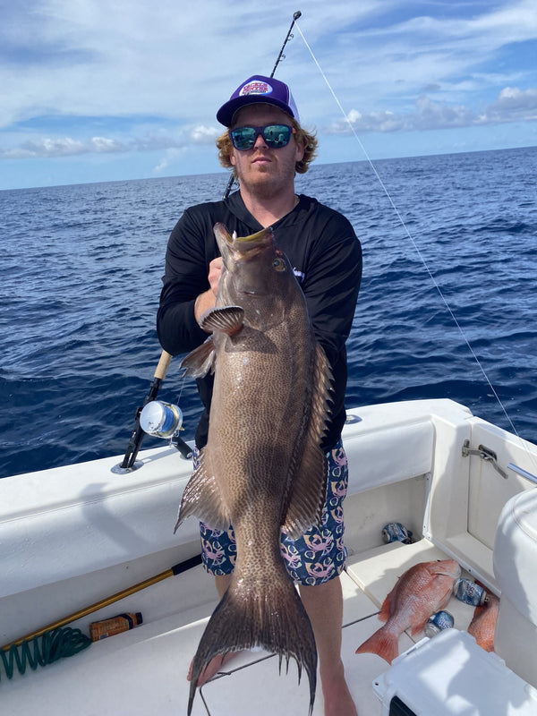 Scamp Grouper