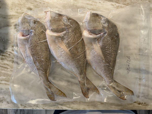 Whole Fish Jolthead Porgy