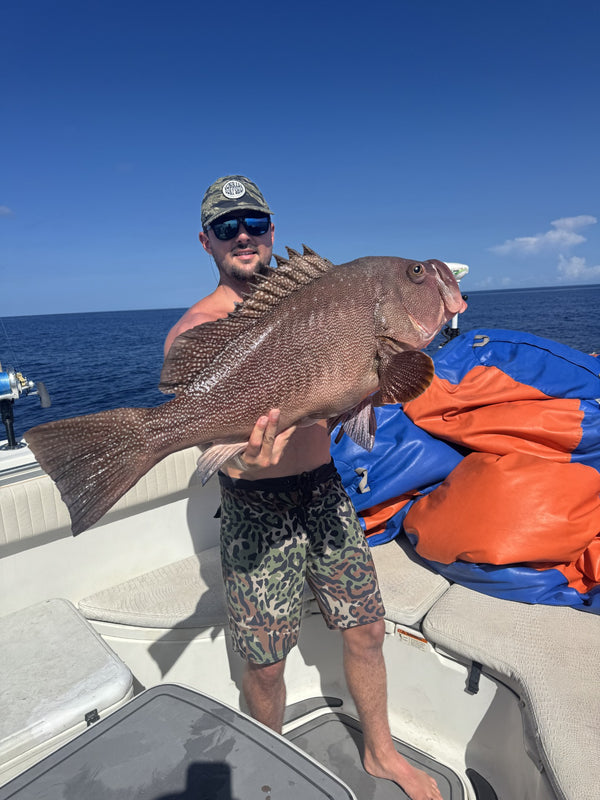 Kitty Mitchell Grouper
