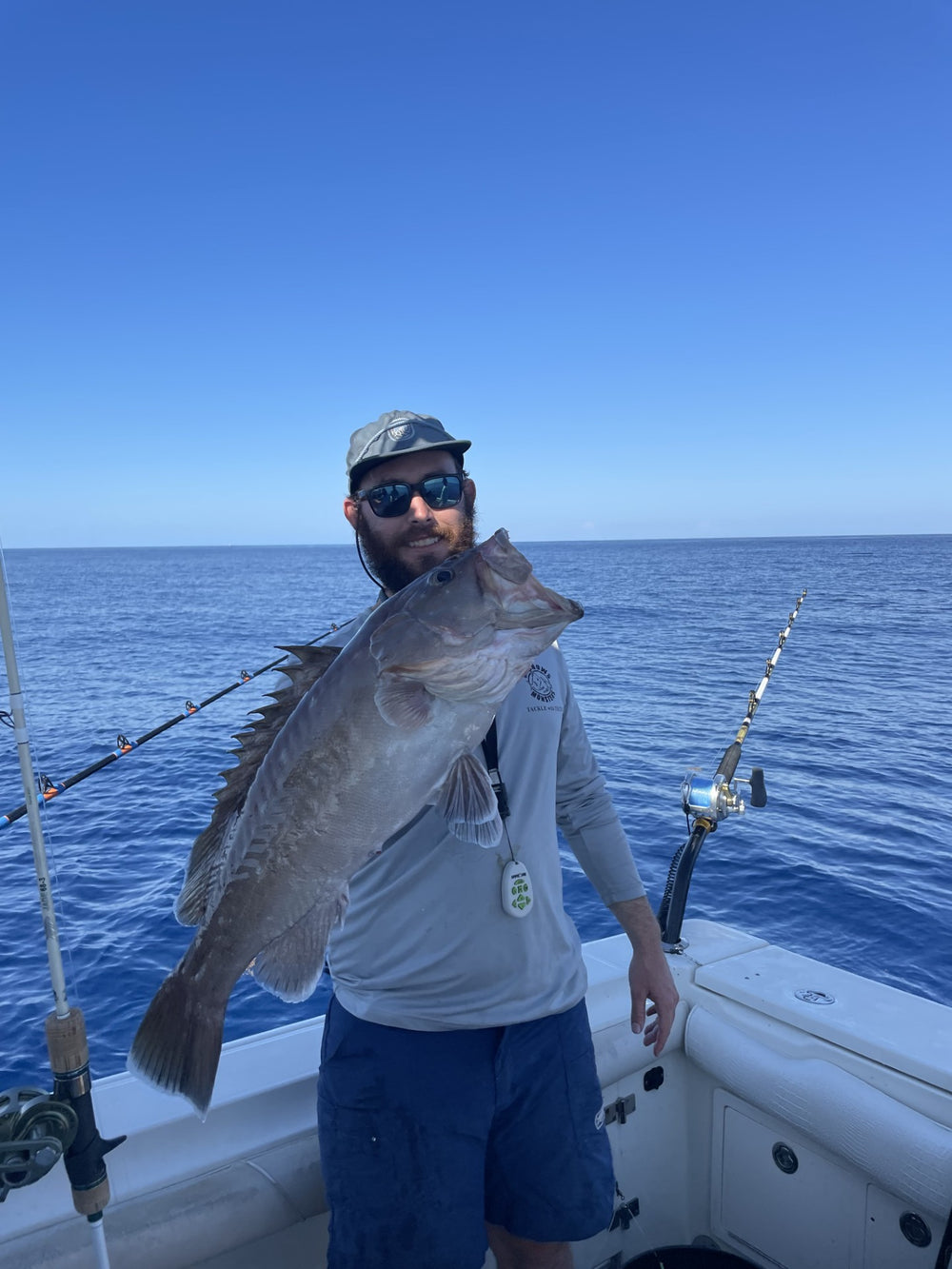 Snowy Grouper