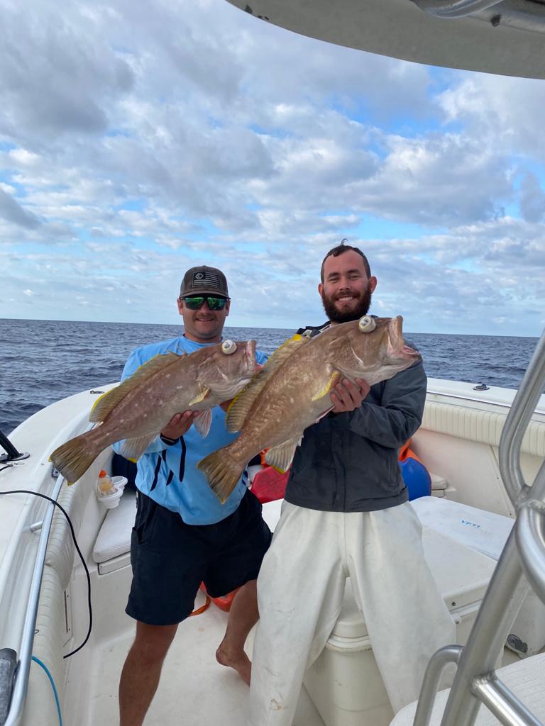 Yellowedge Grouper
