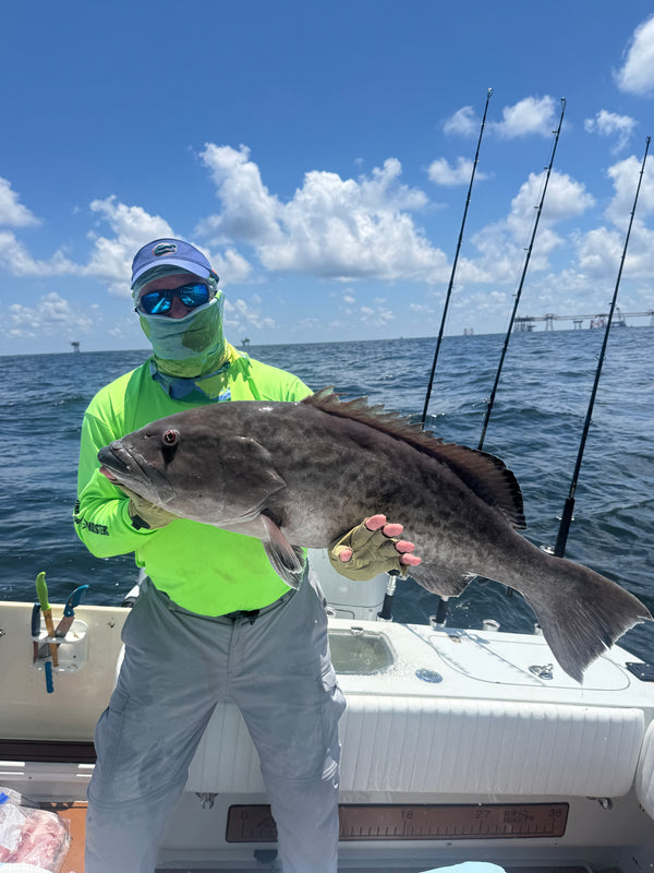 Gag Grouper