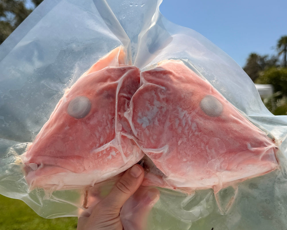 Snapper Heads