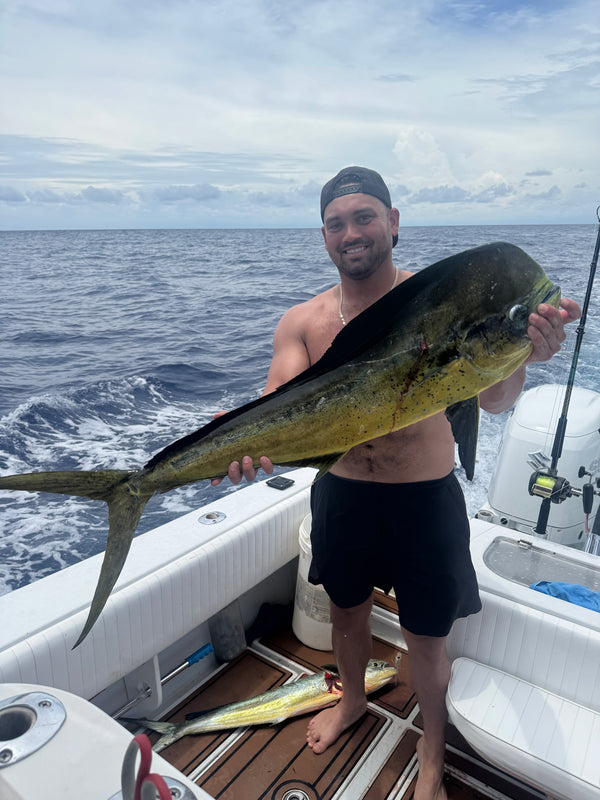 Mahi-Mahi