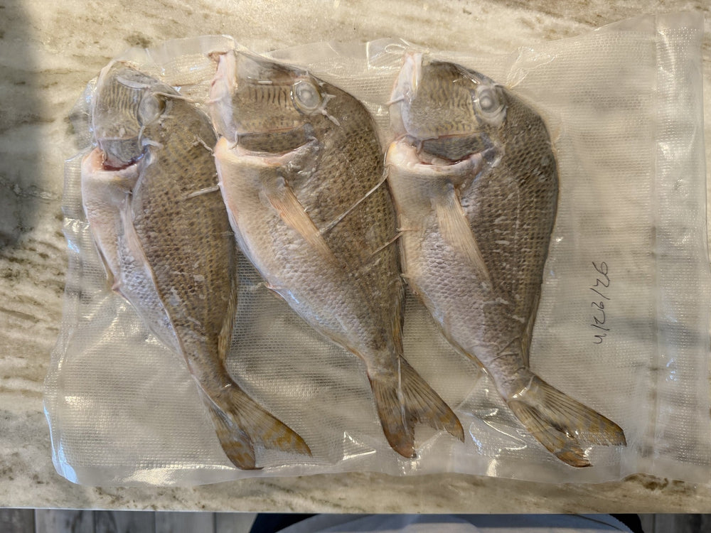 Whole Fish Jolthead Porgy