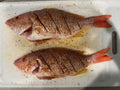 Whole Fish Lane Snapper