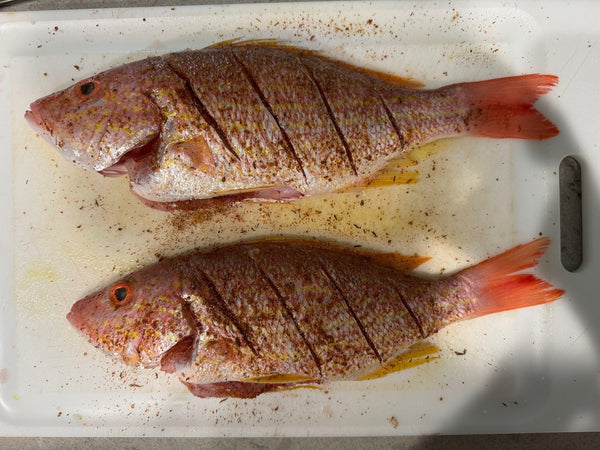 Whole Fish Lane Snapper