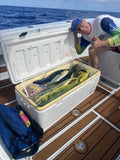 Mahi-Mahi