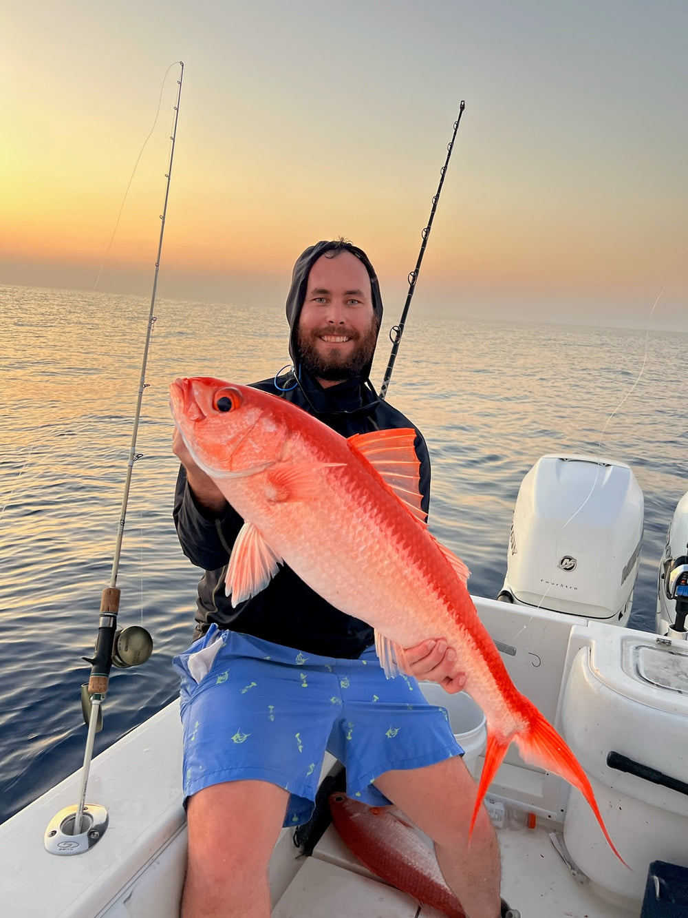 Queen Snapper