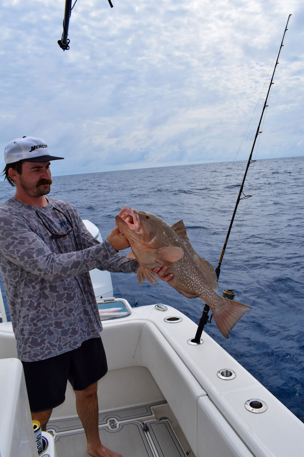 Red Grouper