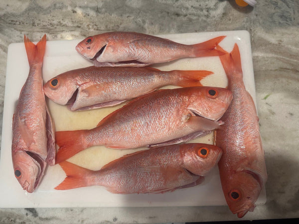 Whole Fish Vermilion Snapper