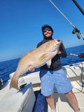Yellowedge Grouper